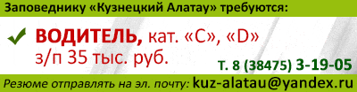 баннер
