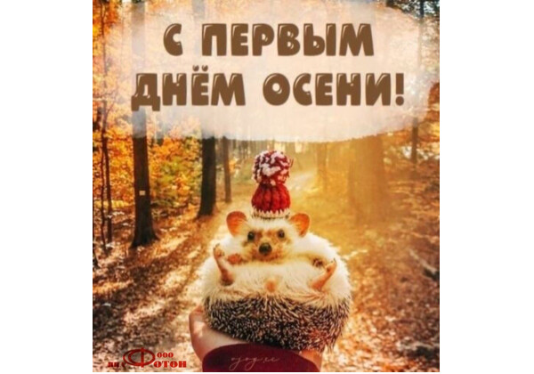 Изображение к поздравлению