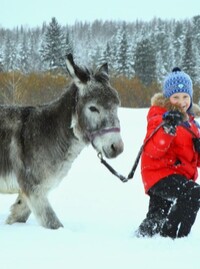 Алексей и ослик