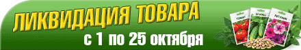 баннер