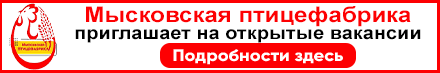 баннер