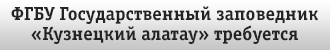 баннер