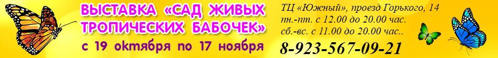 баннер