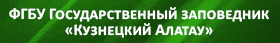 баннер