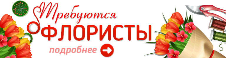 баннер