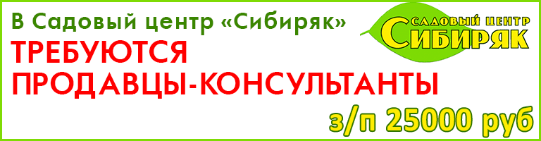 баннер