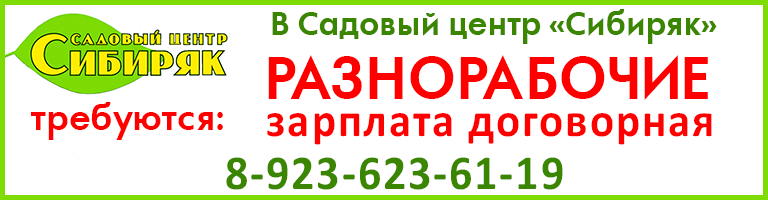 баннер
