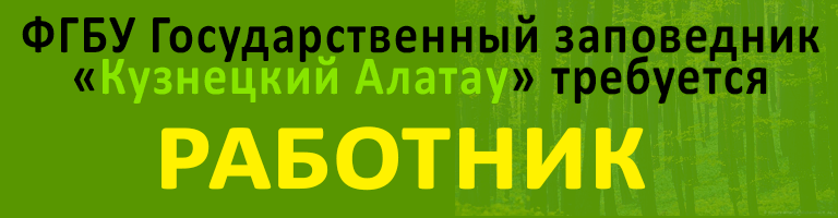 баннер