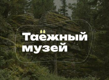 Описание картинки