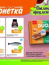 Монетка