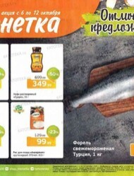 Монетка