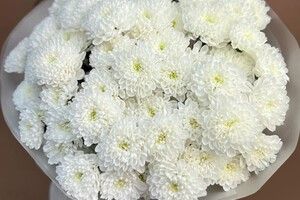Букет «Алтай»