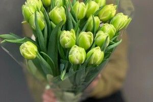 Букет из тюльпанов