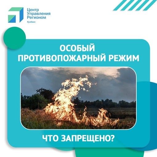 С 15 апреля в Кузбассе введен особый противопожарный режим.
