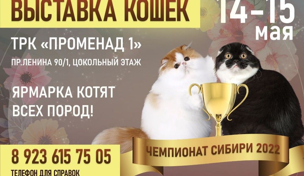 Международная выставка кошек с ярмаркой котят пройдет в Кемерове 14-15 мая