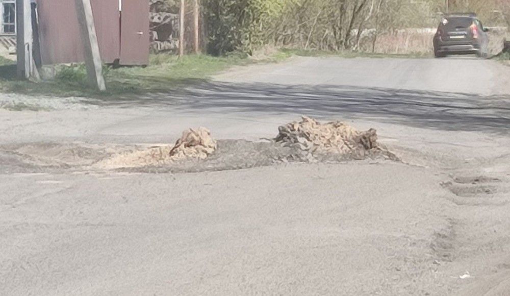 Кемеровчане пожаловались на