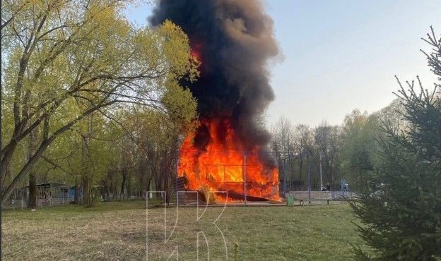 Пожар произошел в юргинском парке
