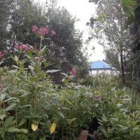 Фотография объекта