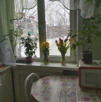 Фотография объекта