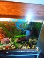 эстетик междуреченск телефон стоматология 617302