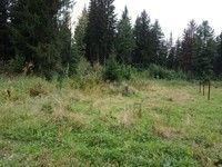Фотография объекта