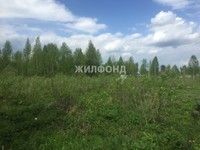 Фотография объекта