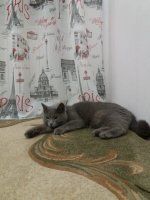 Фотография объекта
