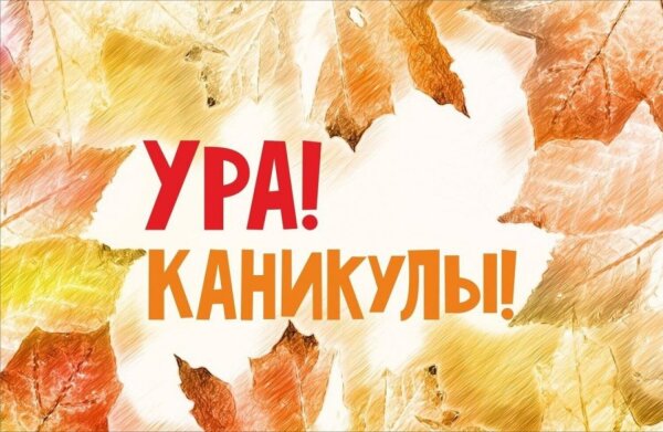 Фотография к объявлению