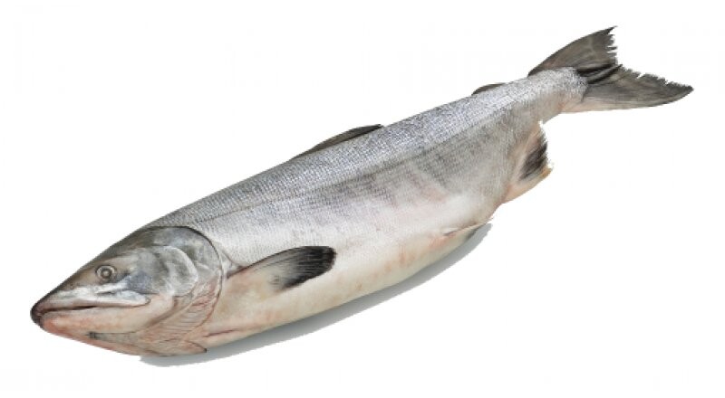 Свежемороженая рыба «Горбуша»
