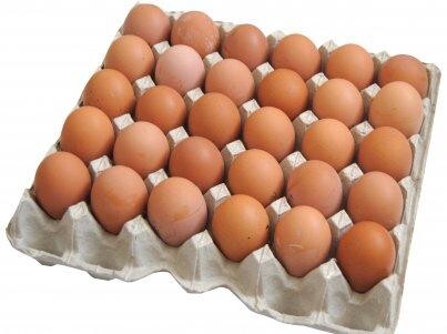 Яйцо куриное С2