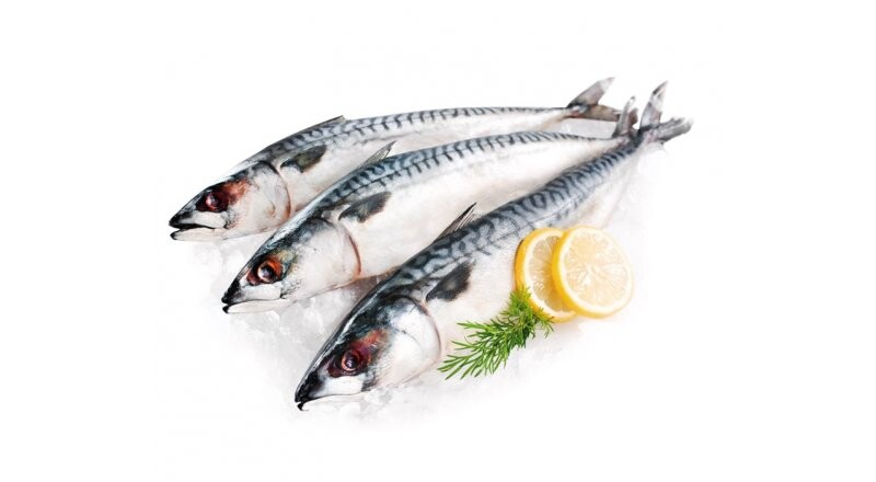 Скумбрия свежемороженая