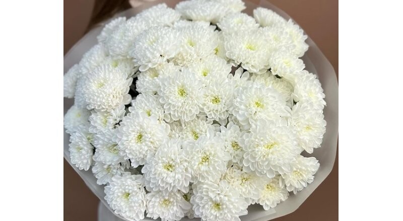 Букет «Алтай» кругляш