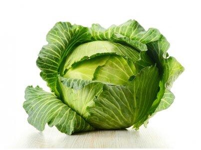 Капуста белокочанная