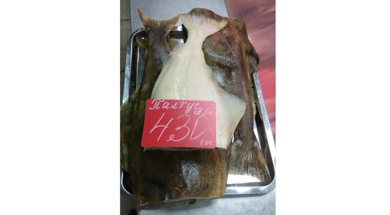 Палтус свежемороженый