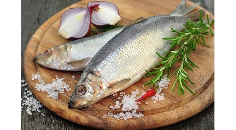 Сельдь «Олюторская»