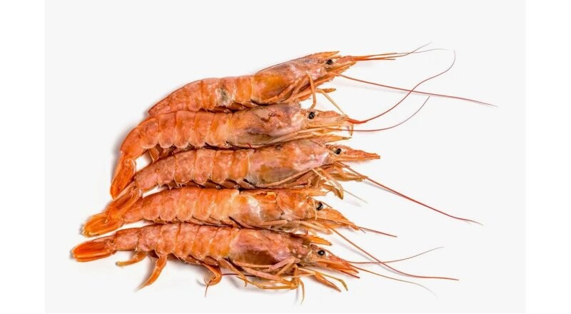 Лангустины 