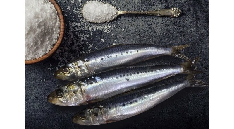  Сардина «Иваси», слабосоленая