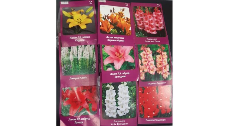 Семена многолетних цветов