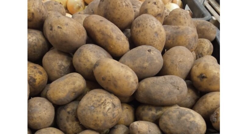 Картофель весовой