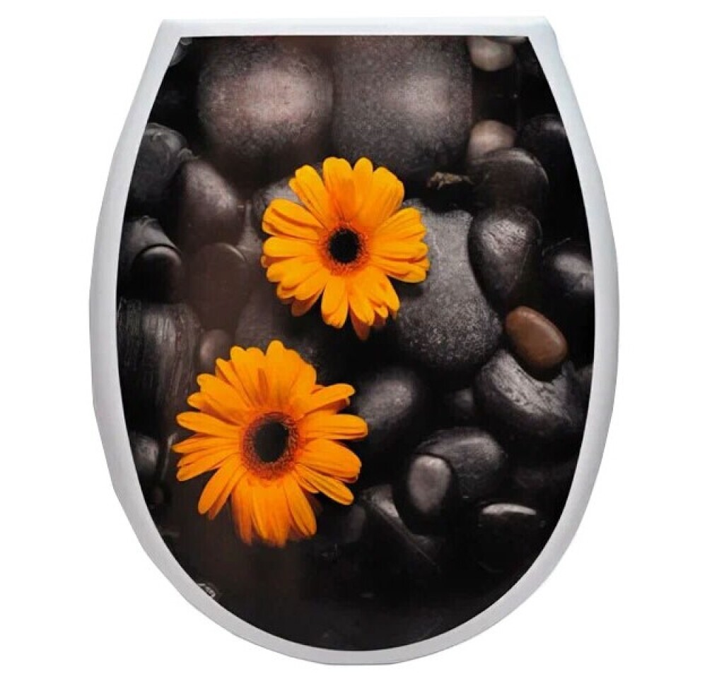 Сиденье для унитаза «Океан LUX Гербера-Мираж»