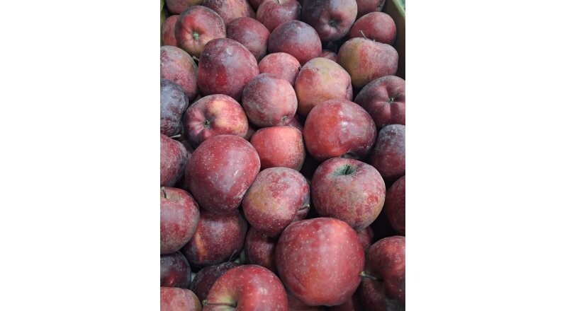 Яблоки «Ред Делишес»
