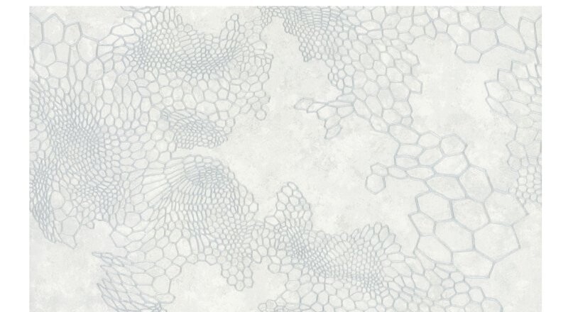 Обои флизелиновые «Аспект 70586-14»	