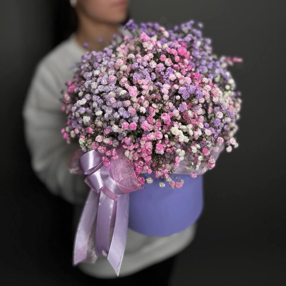 Цилиндр Гипсофила