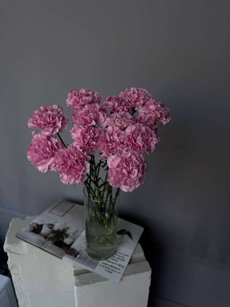 Диантусы розовые