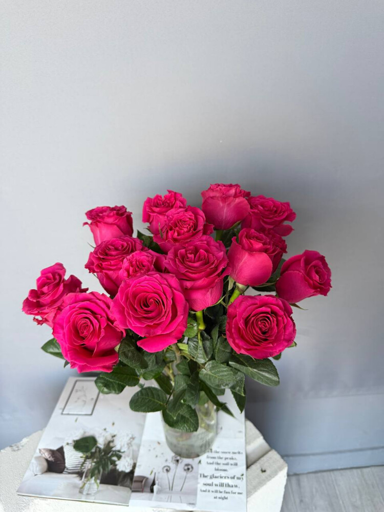 Роза Эквадор фуксия