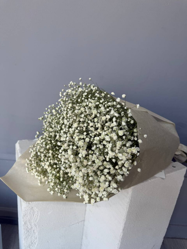 Букет из гипсофил