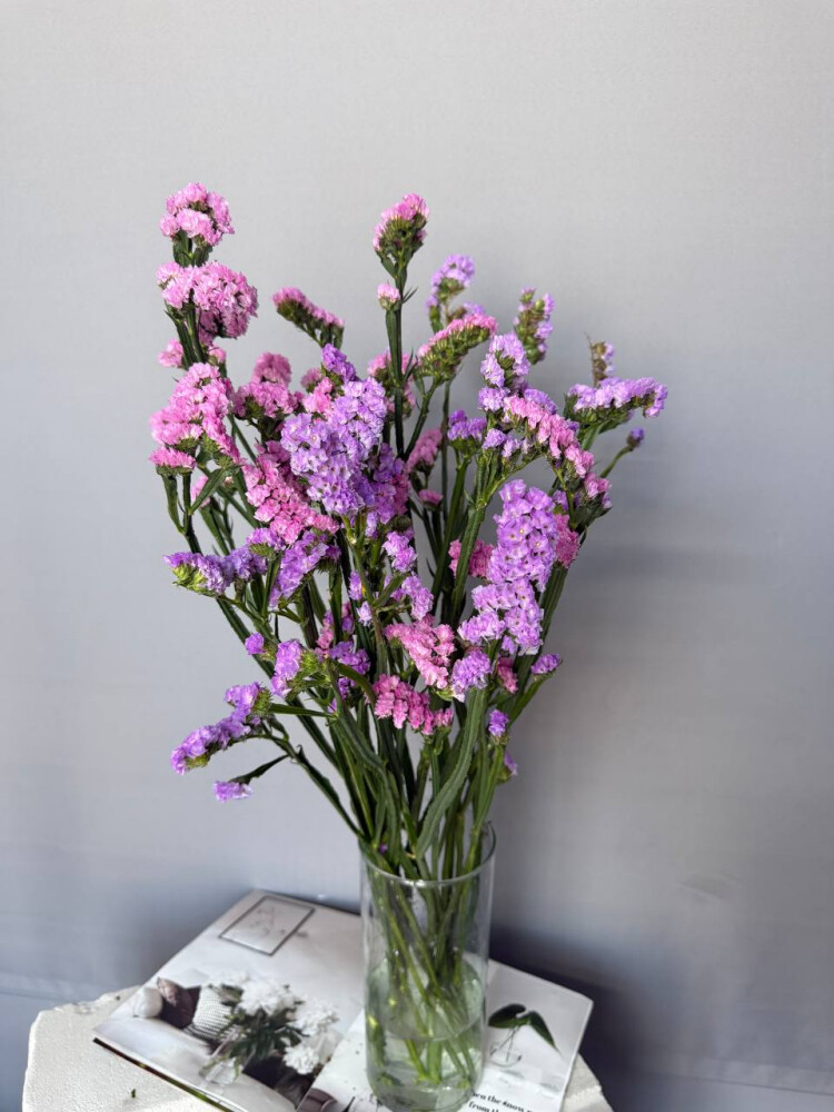 Статица банч