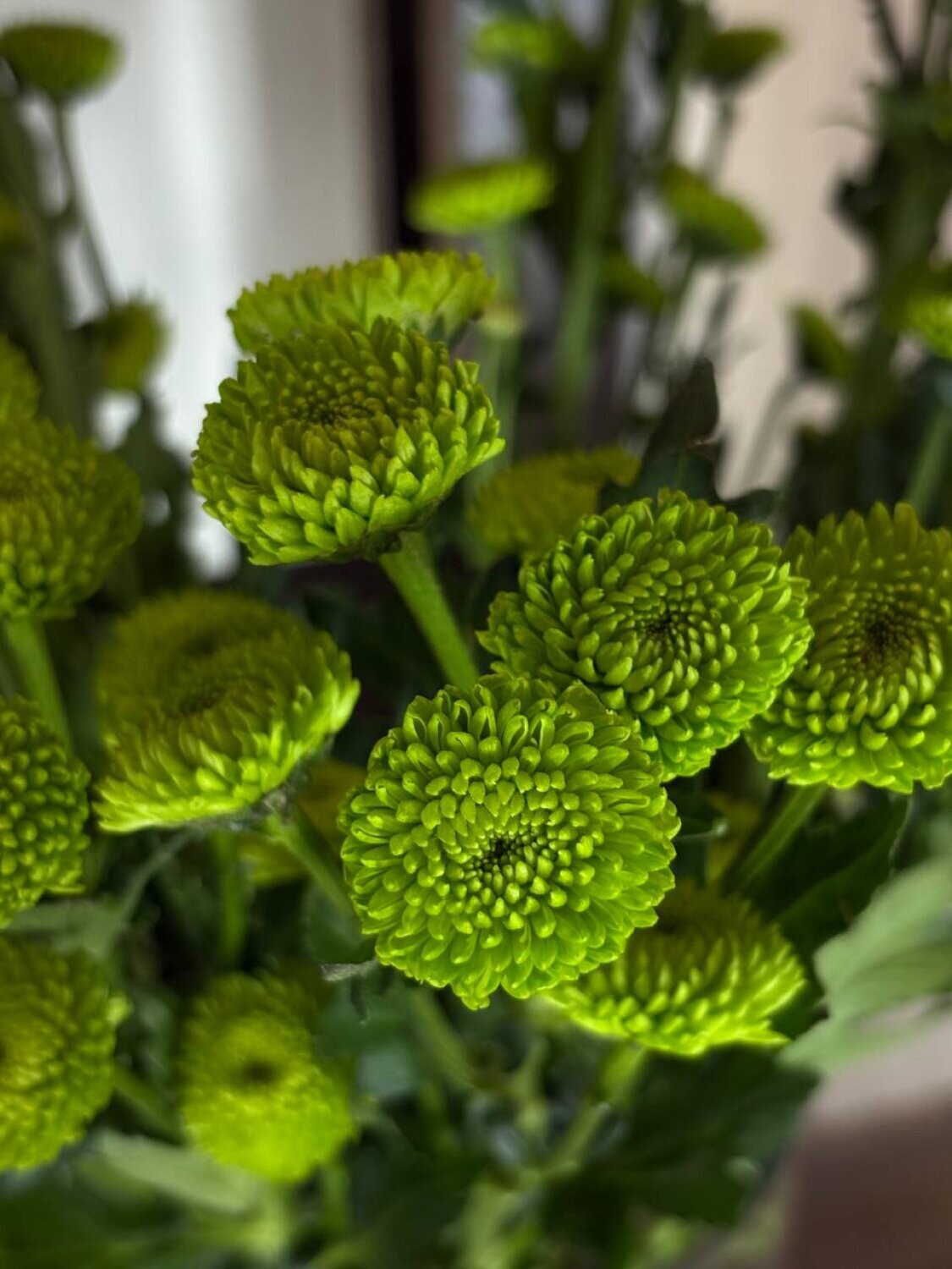 Цветы к празднику