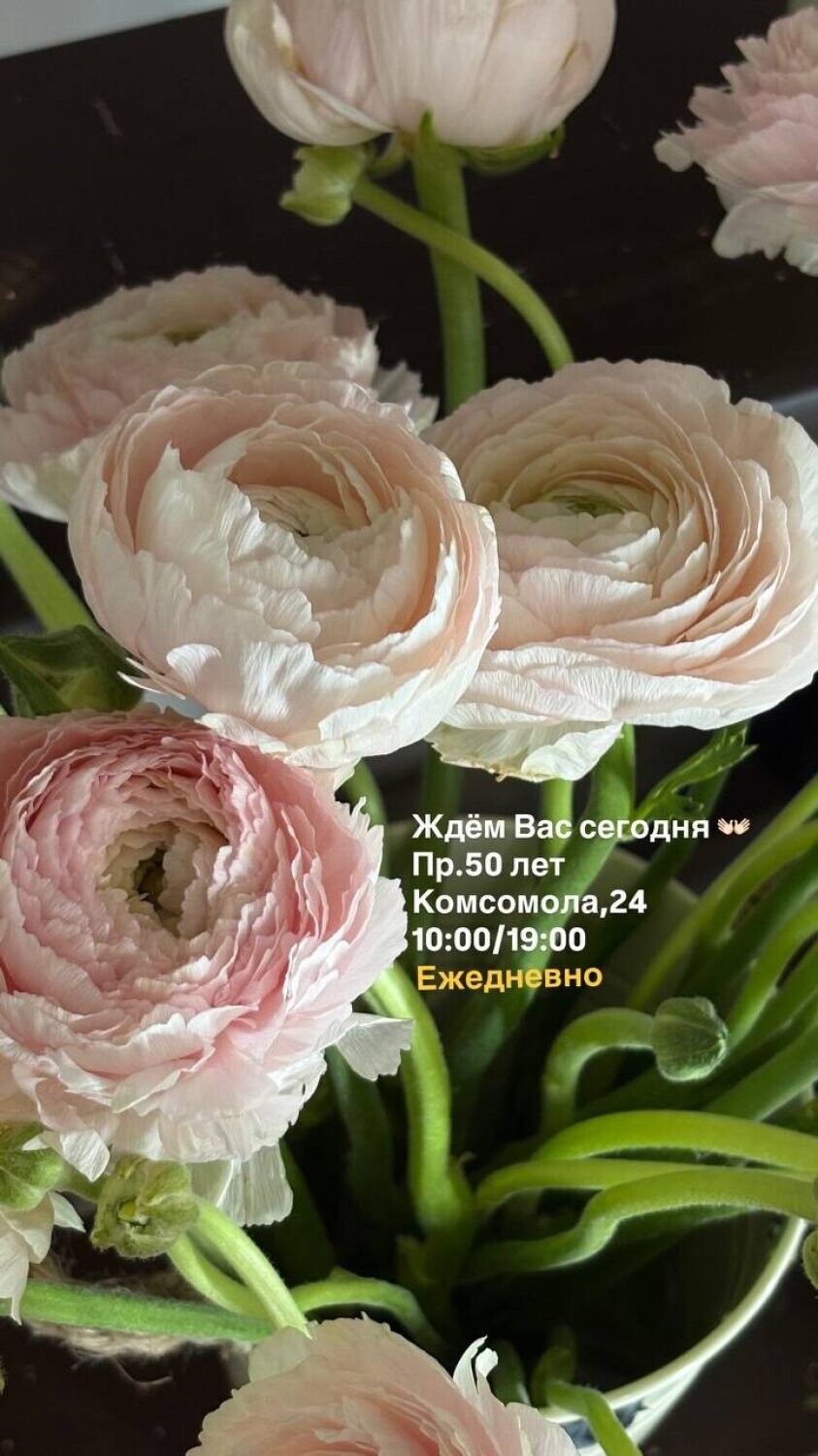 Цветы и букеты