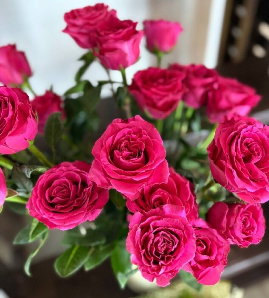 Роза Фулл Монти